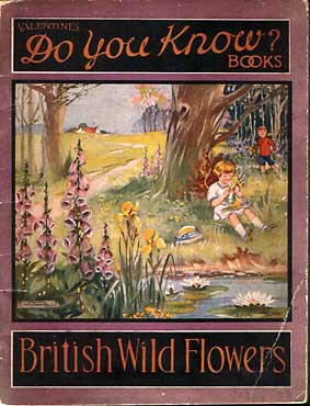 The cover of a small book in Valentine's "Do You Know?" series  -  'British Wild Flowers'