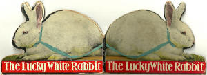 Book published by Valentine & Sons Ltd, probably in the early-1900s  -   The Lucky White Rabbit  - Outside of Book Covers