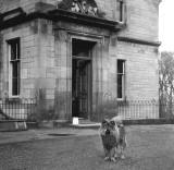 Clermiston House  -  Front of the house + dog