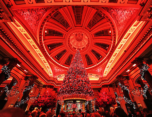 The Dome Restaurant, 14 George Street  -  Customers mingle for their drinks, beneath the Christmas Tree