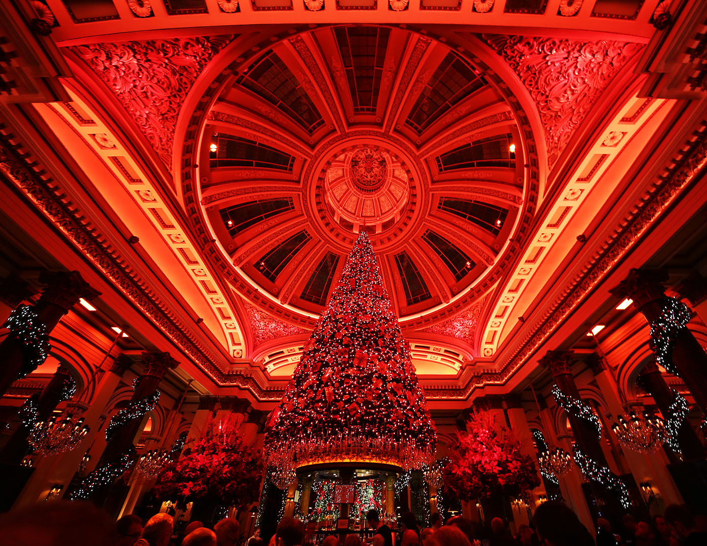 The Dome Restaurant, 14 George Street  -  Customers mingle for their drinks, beneath the Christmas Tree