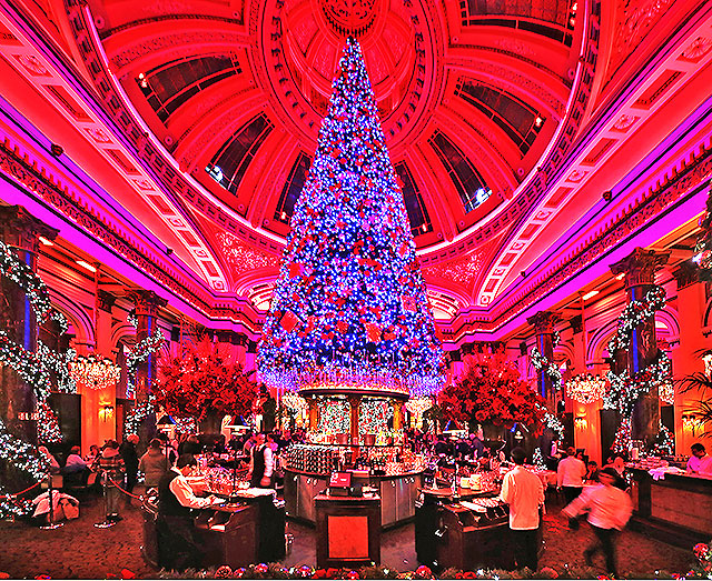 The Dome Restaurant, 14 George Street  -  Staff at work beneath the Christmas Tree