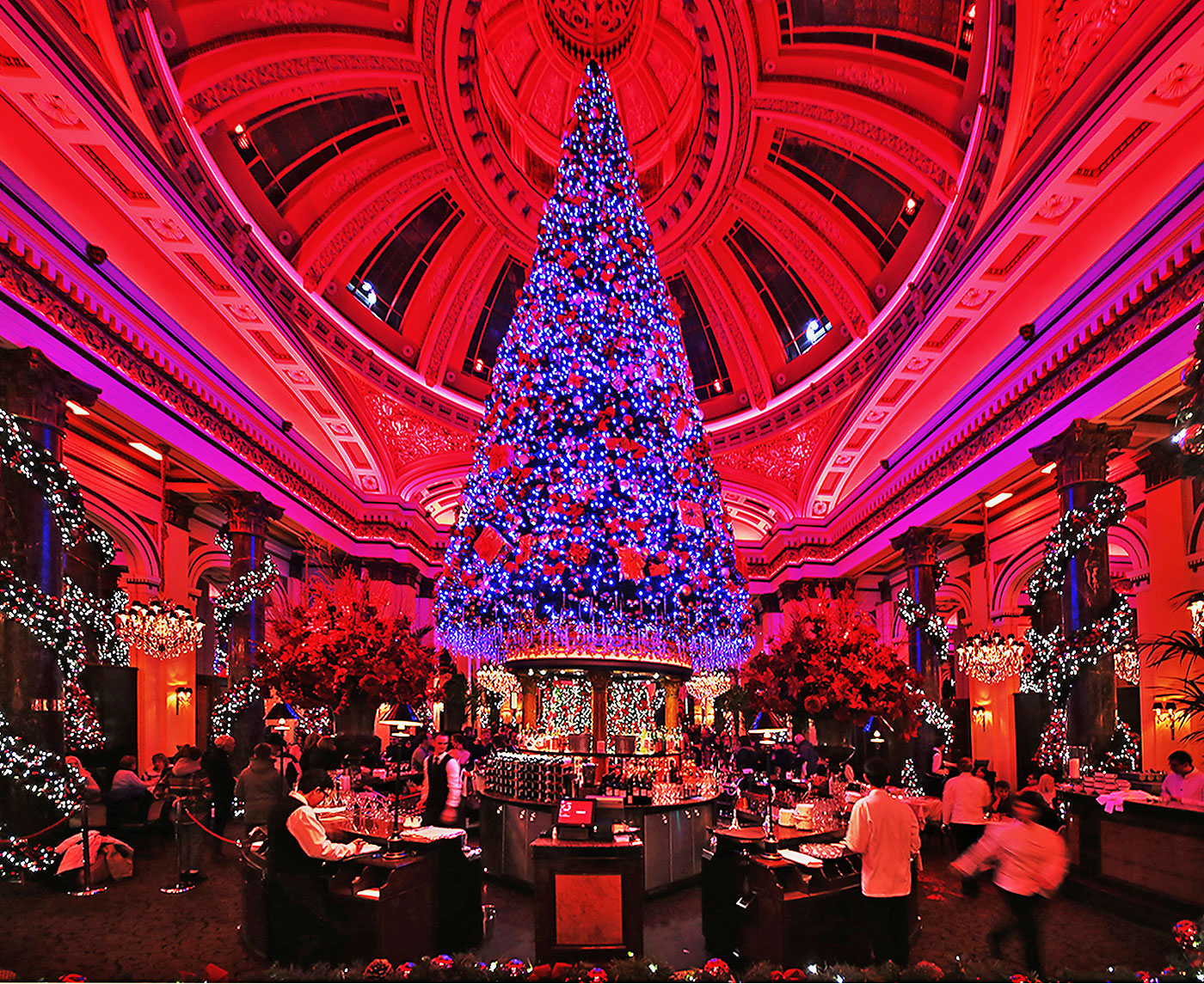 The Dome Restaurant, 14 George Street  -  Staff at work beneath the Christmas Tree
