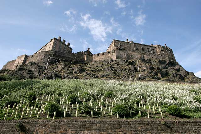 Loking up to Edinburh Castle from King's Stables Road