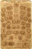 Lafayette  - Cabinet Print  -  Back