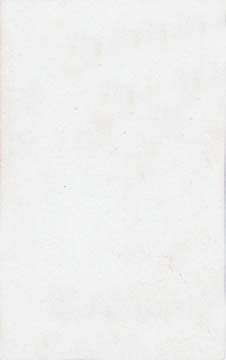 The back of a carte de visite by John Horsburgh  from studio at 17 Princes Street  -  3 children
