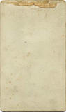 The back of a carte de visite from John Horsburgh's studio at 131 Princes Street  -  Plain back  -  grey