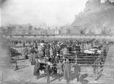 EPS Survey Section photograph - Old Cattle Market, Lauriston Place  -  J Drummond Shiels, 1907