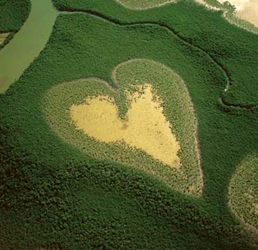 Heart of Voe  -  Photograph from the exhibition 'The Earth from the Air' at the Royal Botranic Gardens, Edinburgh