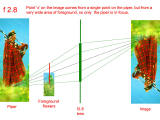 Chart demonstrating the optics of a lens set to f2.8