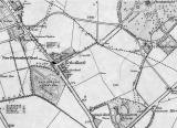 Ordnance Survey Map, 1852, showing Echo Bank, Newington