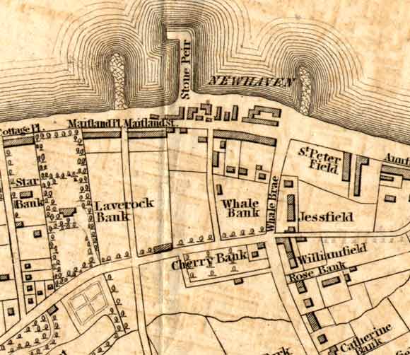 Newhaven Map - 1860