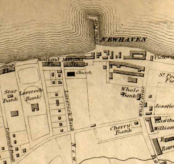 Newhaven map  -  1860