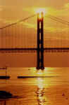 The Forth Road Bridge  -  1