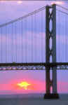 The Forth Road Bridge  -  2