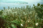 My Photographs  -  Hong Kong  -  View from the Peak