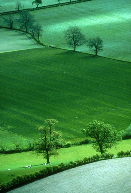 Photograph by Peter Stubbs  -  Landscapes  -  View from the Wallace Monument at Stirling in Central Scotland