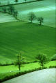 Photograph by Peter Stubbs  -  Landscape  - View from the Wallace Monument at Stirling in Central Scotland