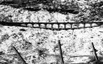 Glen Ogle Viaduct in Winter  -  Black and white photograph