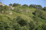 Scottish Highland Games  -  Glenfinnan  -  20 August 2005  -  The Hill Race for Juniors