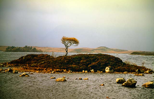 Rannoch Moor in Autumn