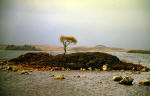 Rannoch  Moor in Autumn