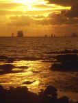 Tall Ships in the Firth of Forth  -  2