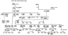 Family Tree
