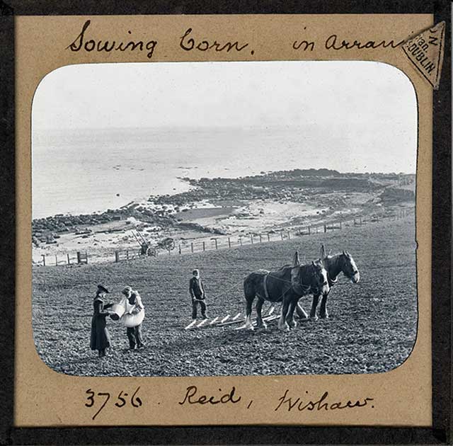 Glass Slide by photographer Charles Reid, Wishaw.  The slide is a view of farming on Arran