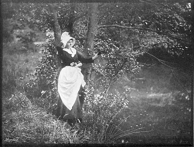 Photograph by Henry Peach Robinson  -  A Maiden Meditation Fancy Free
