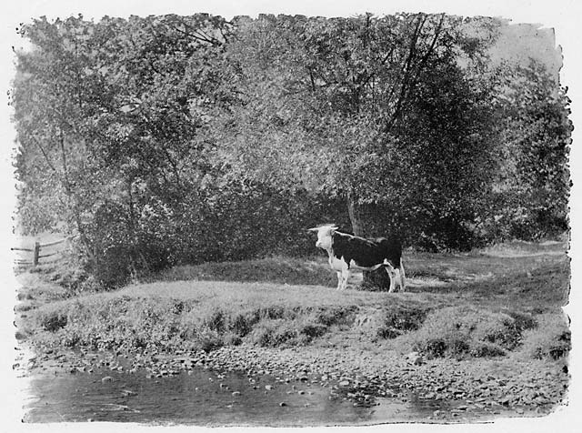 Photograph by Henry Peach Robinson  -  What is it?