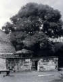 Photograph by Joseph Rock  -  Greyfriars Graveyard  -  Bayne of Pitcarley Enclosure  -  1684-85