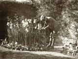Photograph from the family of Horatio Ross  -  At work in the Garden  -  Which garden