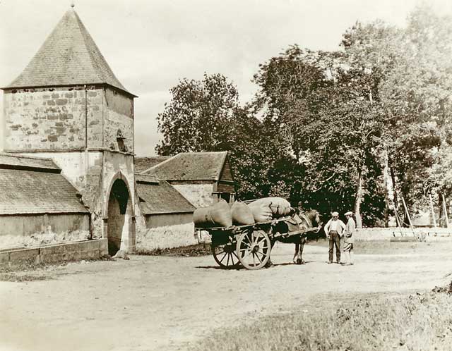 Photograph from the family of Horatio Ross - Horse and cart, somewhere in the Scottish Highlands
