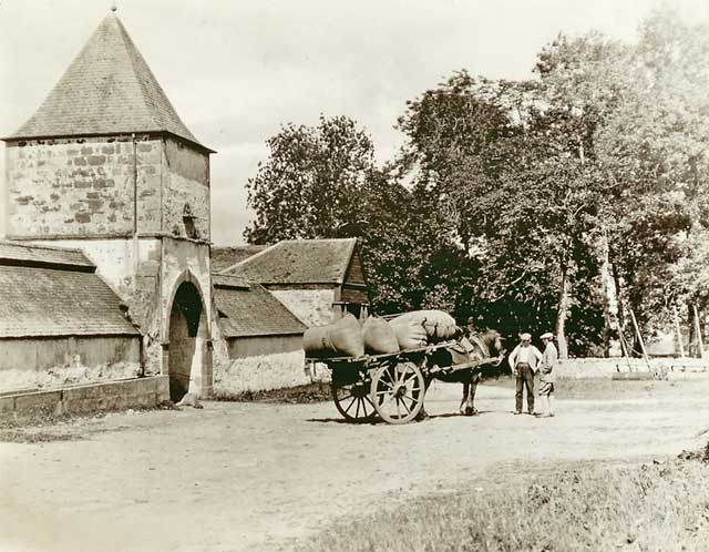 Photograph from the family of Horatio Ross  - Horse and cart, somewhere in the Scottish Highlands