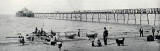 W R & S photograph from around the early 1900s  -  Portobello Pier