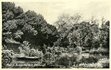 One of a Set of 8 postcards in 'Goldenacre' series,  published by Burns Stationery Depto, Goldenacre, Edinburgh  -  Pond in Botanic Gardens