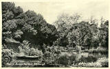 One of a Set of 8 postcards in 'Goldenacre' series,  published by Burns Stationery Depto, Goldenacre, Edinburgh  -  Pond in Botanic Gardens