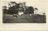 Castle Postcard  -  Craigmillar Castle near Edinburgh