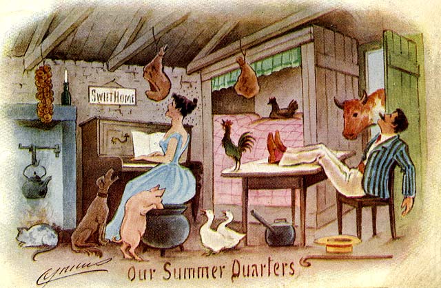 Cynicus Postcard  -  Our Summer Quarters