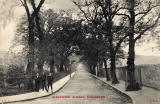 Postcard published by John R Russel of Edinburgh (JRRE)  -  Arboretum Avenue, Inverleith