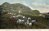 Postcard published by John R Russel of Edinburgh (JRRE)  -  Arthur's Seat in Holyrood Park