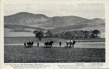 Postcard  -  James Patrick  -  Castle Series  -  Foot of the Pentlands, Swanston