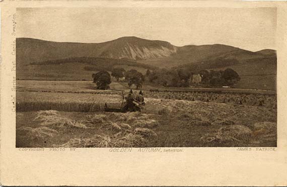 Postcard  -  James Patrick  -  Castle Series  -  "Golden Autumn, Swanston"