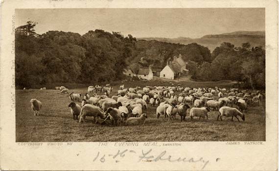 Postcard  -  James Patrick  -  Castle Series  -  The Evening Meal, Swanston