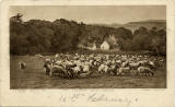 Postcard  -  James Patrick  -  Castle Series  -  "The Evening Meal, Swanston"