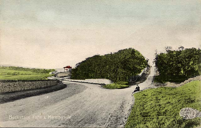 Postcard by P W & M  -  Buckstone Farm and Morningside