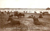 Postcard in P W & M Vello Series  -  Portobello Beach + Pier  -  17th Lancers 'Laying Down Horses' exercise