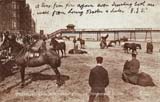 Postcard in P W & M Vello Series  -  Portobello Beach  -  17th Lancers 'Laying Horses' exercise