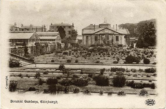 Post Cards  -  P W & M  -  Vello Series  Botanic Gardens, Inverleith Row  -  Greenhouses